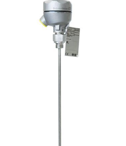 Capteur de température Endress+Hauser ITHERM TM111 RTD PT100, thermomètre industriel modulaire OEM, Wifi IP67, résolution 0,2, processus - Product Image 2