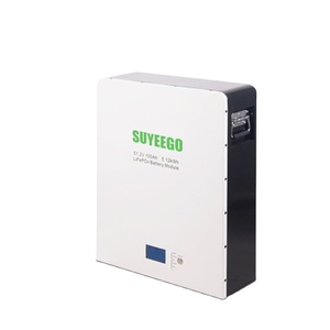 SUYEEGO 5.12kwh Wall Mounted Battery 51.2V 100AH Lithium Ion With BMS for Home Use SYGB-LFP Wall Mounted Solar Battery Lithium S - Product Image 1