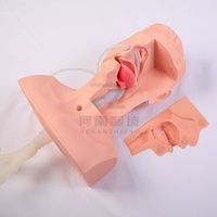 Modelo de Entrenamiento Avanzado en Aspiración de Esputo para Ciencias Médicas, Maniquí de Entrenamiento en Aspiración Traqueal