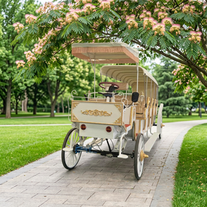 Chariot de Mariage Électrique Populaire pour Touristes, 4+1 Rangées, Type Carrosse Européen, Certifié CE - Product Image 1