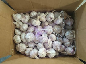 <span class=keywords><strong>Ail</strong></span> tressé Offres Spéciales prix <span class=keywords><strong>de</strong></span> gros 5.0cm 1kg/500g - Product Image 3