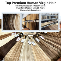 Ekstensi Rambut Clip-in Premium Rusia Remy Virgin dengan Kutikula Utuh Double Drawn 100% Rambut Asli Alami yang Dicat Tanpa Sambungan