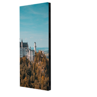 Mur vidéo LED interactif 3D plein écran extérieur avec SDK OEM pour les locations de centres commerciaux - Pas de pixel P2.5