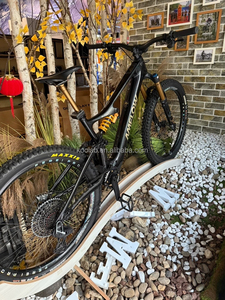Vélo électrique tout-terrain avancé Amflow PL <span class=keywords><strong>Pro</strong></span> 800Wh avec cadre en fibre de carbone 2026 Amflow - Product Image 3