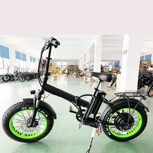 Bicicletta elettrica 1000 wt 프론트 서스펜션 포크 전기 자전거 500w