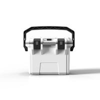 Glacière portable moderne en PP multicolore de 15 L pour le camping et les voyages, avec conservation de la chaleur, réutilisable, vente en gros