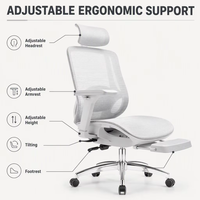 Chaise de bureau ergonomique en maille inclinable à prix de gros avec vérin à gaz et repose-pieds pour le bureau