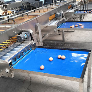 Machine de triage d'œufs à petite échelle / Machine de triage d'œufs au prix le plus bas - Product Image 5