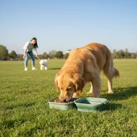 Bol pliable pour animaux de compagnie, écologique, portable, léger, en plastique, pour petits chiens, vente en gros, fabricant sur mesure