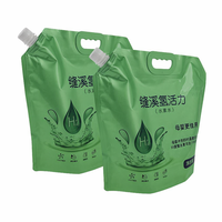 Sachets Doypack Personnalisés Imprimés, Imperméables, Thermoscellables pour Lessive, en PET/NY/PE, Impression Gravure