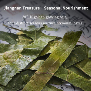 Chá de Folha de <span class=keywords><strong>Loquat</strong></span> Natural Seco da China em Folhas Soltas Pi Pa Ye Folhas de <span class=keywords><strong>Loquat</strong></span> Atacado - Product Image 4