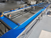 Productielijn voor het weken, wassen, sorteren en luchtdrogen van lotuswortel, gember en taro voor de voorbewerking van diepvriesfruit en -groenten in een fabriek.