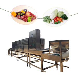 เครื่องอบแห้งอาหารแบบอุโมงค์ไมโครเวฟเครื่องอบแห้งผลไม้แครอทกะหล่ำปลีแอปเปิ้ลลูกแพร์ - Product Image 1