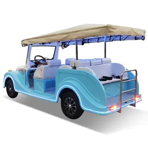 Customized Luxury Classic Car With Different Seats And Sunshades Rain Curtains Travel Golf Cart Accessories