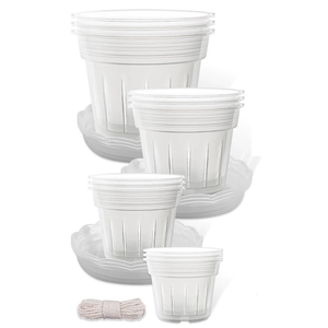 Macetas de Plástico Transparentes Perforadas para Orquídeas, Diseño Moderno, Alta Calidad y Durabilidad - Product Image 6