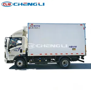 Heavy Duty HOWO 4x2 6meter Freezer Truck with Carrier Refrigerator Unit Van Truck - Product Image 3