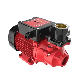 Intelligent booster pump qb60 110V60Hz 220V50Hz vortex pump pure copper motor high lift large flow household small booster pump