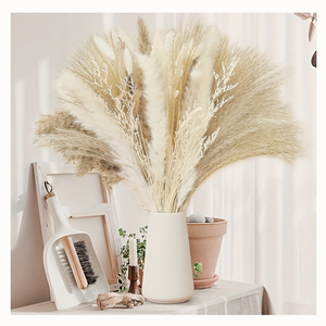 50pcs Mariage Décoration de La Maison Artificielle Grandes Moelleux <span class=keywords><strong>Pampas</strong></span> Fleurs Artificielle Plante Bouquet Faux <span class=keywords><strong>Pampas</strong></span> Herbe - Product Image 1