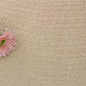 Cellulosa di Bambù Vergine Sbiancata e Non Sbiancata per la Produzione di Carta Igienica, Materia Prima - Product Image 3