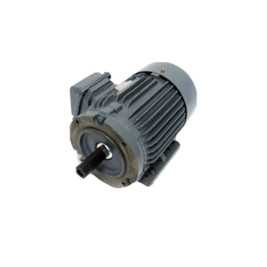 Moteur électrique NEW WORLD W-IDE ELECTRIC FP1-12-145TC haute performance 1HP 220V avec mémoire de données EPROM EEPROM - Product Image 1