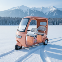 Tricycle électrique très économique, véhicule de loisirs et de déplacement quotidien, idéal pour le shopping, la récupération des enfants et l'utilisation familiale