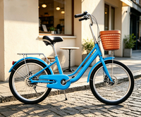 Prix d'usine – Vélo de ville 20/22 pouces en acier à haute teneur en carbone avec panier en plastique pour femme – En promotion