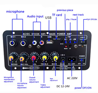 Carte d'amplification D10/D10-II AUX TF Card USB 30-120W pour haut-parleur 4 Ohm 40W, module amplificateur audio pour subwoofer 110V 220V 12V 24V