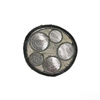 Câble d'alimentation aérien industriel XLPE à âme en aluminium ignifuge YJLV22-4*35/50, excellente conductivité, indice de protection IP54 pour applications fixes