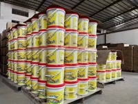 Lessive en poudre haute mousse pour lavage à la main, emballage OEM en seau de 5 kg, en vrac, du fabricant du Guangdong