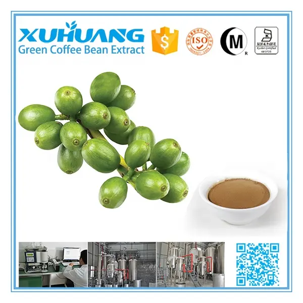 Polvo de extracto de grano de café verde 10% ácido clorogénico Natural Xuhuang