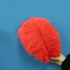 Plumes d'Autruche Grandes, Teintes, Multicolores, Lisses et Moelleuses <span class=keywords><strong>de</strong></span> Haute Qualité 30-35 cm en Gros - Product Image 3