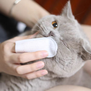 20 dents d'animaux de compagnie dentaire orale enlever l'haleine <span class=keywords><strong>moche</strong></span> nettoyage doigt lingettes humides pour animaux de compagnie chats chiens - Product Image 1