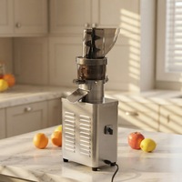 Presse-agrumes électrique commercial à prix compétitif pour l'extraction de jus de tomate et de mûre, idéal pour les petites entreprises