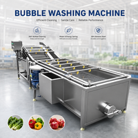Continue fruit- en bladgroentewasmachine met luchtbad, multifunctionele ultrasone luchtbellen groentesalade- en groentewasser