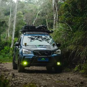 Pour <span class=keywords><strong>Forester</strong></span> Oil Shock Absorber Original/1.5 pouces <span class=keywords><strong>Kit</strong></span> de levage améliore le contrôle du véhicule convient à toutes les routes protège les pièces couleur personnalisée - Product Image 6