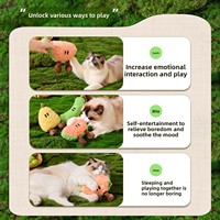 Nouveau Jouet à Mâcher pour Chats et Chiens, Série Fruit Pastèque, Sonore, à la Catnip, Anti-ennui et pour le Nettoyage des Dents