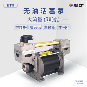Miniature <b>Vacuum</b> <b>Pump</b> 12 Pa 10-100 L/Min Electric Side Standing Gas Transfer <b>Pump</b> For Booster Applications - Product Image 3