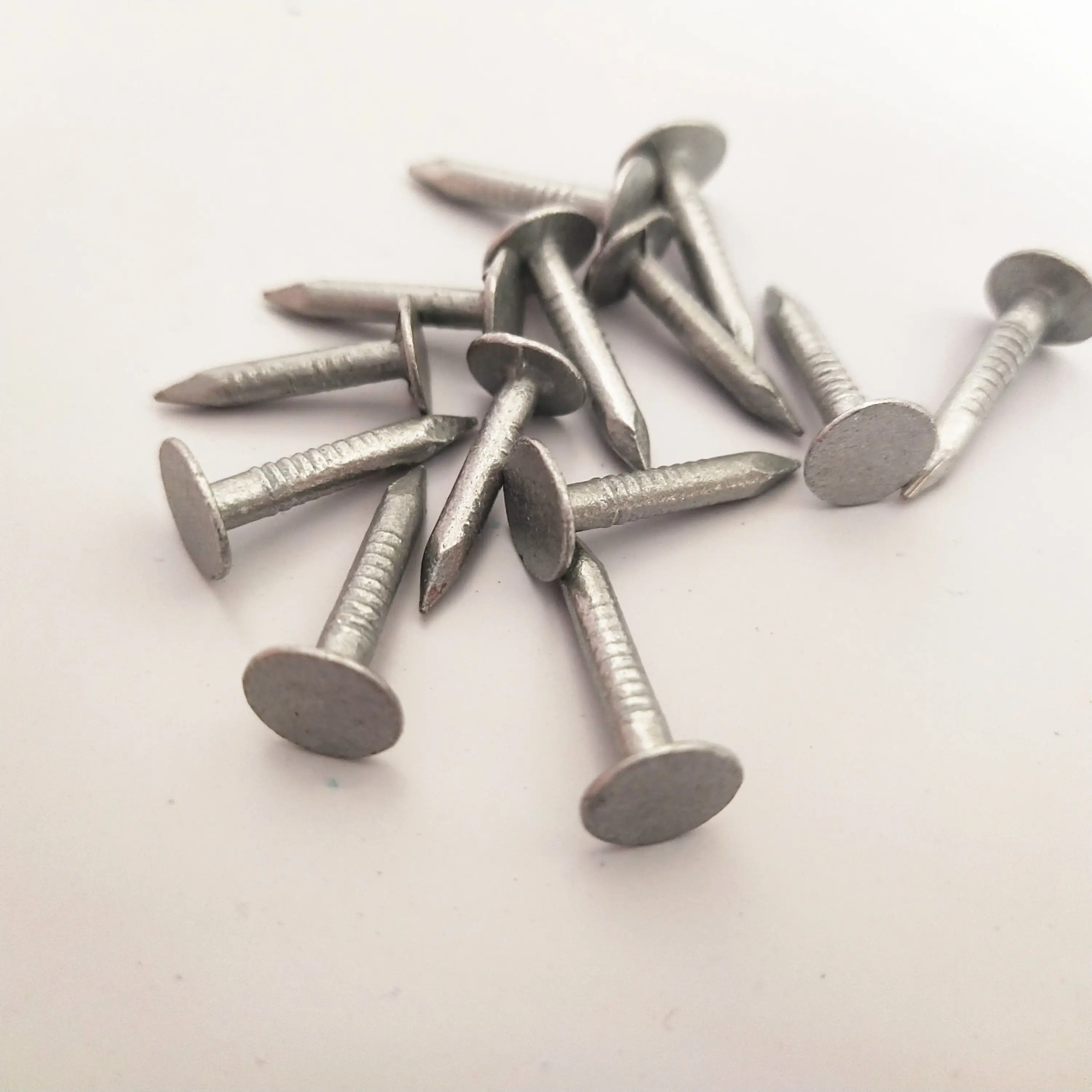 Flat Big Head Clout Nails Galvanized with 1-1/4" ceiling nails