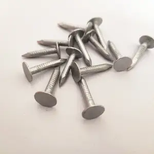 Flat Big Head Clout Nails Galvanized With 1-1/4" Ceiling Nails