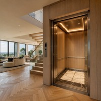 Ascensore Accessibile per Disabili 1000kg 1.0m/s 4 Piani con Pulsante Braille per Edifici Pubblici