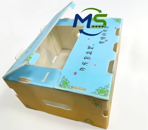 Caja de exhibición de PP anticollision de doble pared hueca para kiwi, zanahorias, mariscos, frutas, verduras y productos agrícolas - Product Image 2