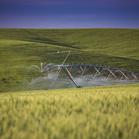 Arroseur à pivot final pour système d'irrigation à pivot central et linéaire