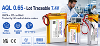 Batterie semi-solide 3,7 V 1000 mAh 3,7 Wh avec BMS pour dispositifs médicaux IoT portables, cathode LiNiMnCoO2, durée de vie 800 cycles