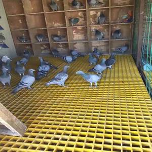 พื้นตะแกรงไฟเบอร์กลาสเสริมแรง FRP ขายส่ง พร้อมบริการตัดตามขนาด ทางเดิน รางระบายน้ำ - Product Image 3