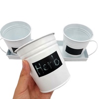 Techome — Pot de plantes d'intérieur en métal, Kit de culture d'herbes, Pot de fleurs en métal blanc avec plateau, 3 pièces