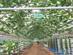 Multi-span Large Agricultural Plastic Film Greenhouse Project Tomato Greenhouse Vegetable Green House With Hydroponic System