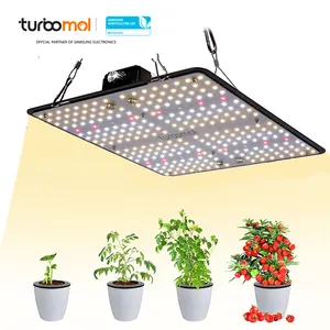 Lm301h 2835 LED Grow Light Zimmer pflanzen Growing Lamp Board LED Hydro ponic Grow Light 100w 200w