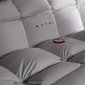 <span class=keywords><strong>Couette</strong></span> en <span class=keywords><strong>duvet</strong></span> sur mesure pour hôtel, motif uni, gris, <span class=keywords><strong>220</strong></span>*<span class=keywords><strong>240</strong></span>, taille king, 200*230, taille queen, douce et confortable, fournisseur de couettes - Product Image 3