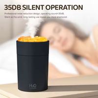 Humidificateur USB avec lumière 7 couleurs, purificateur d'air, diffuseur d'arômes d'huiles essentielles, simulation de flamme de feu, humidificateur de table