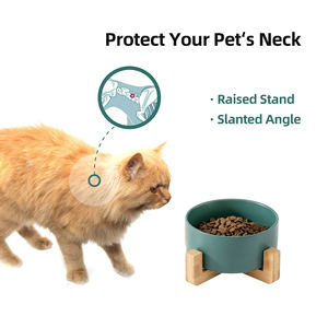 Grosir Mangkuk Kucing Anjing Peliharaan Warna-warni Keramik Pemberi Makan Hewan Peliharaan dengan Bingkai Bambu Kemasan Warna Logo Dapat Disesuaikan - Product Image 3